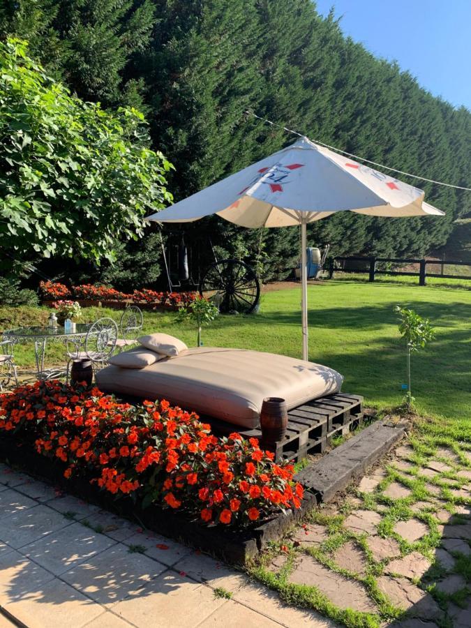 Agroturismo Anziola 오이아츠준 외부 사진