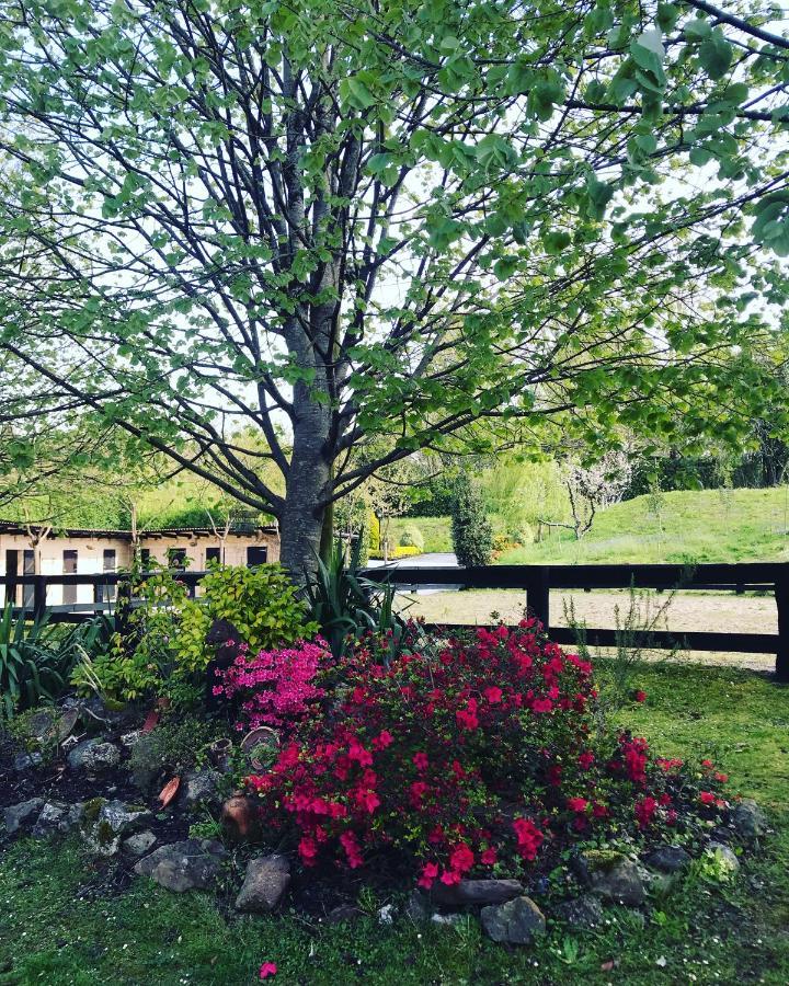 Agroturismo Anziola 오이아츠준 외부 사진