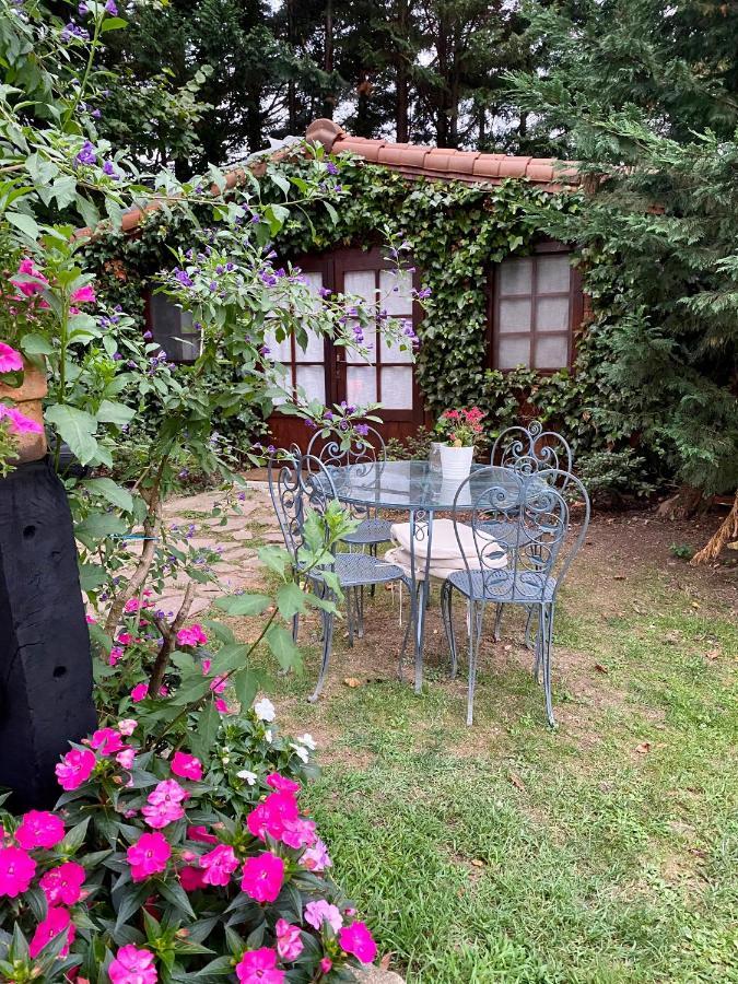 Agroturismo Anziola 오이아츠준 외부 사진