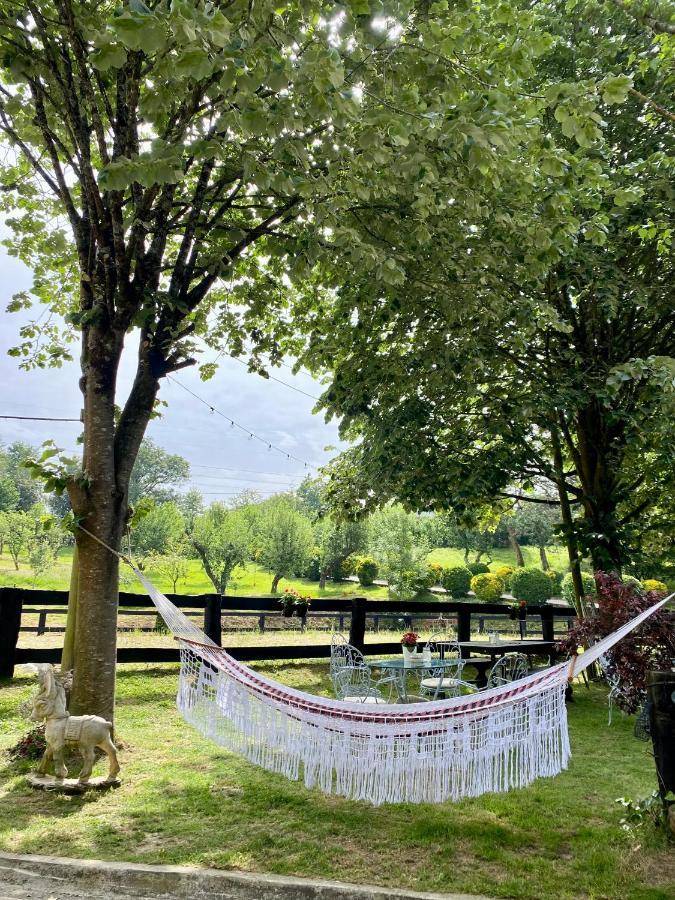 Agroturismo Anziola 오이아츠준 외부 사진